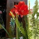nilda Roque - @roque4749 - Instagram