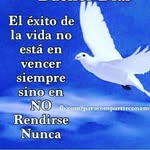 nilda Roque - @nilda_roque - Instagram