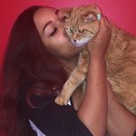 Nile Jones - Cat Enthusiast - @planetofthecats - Instagram