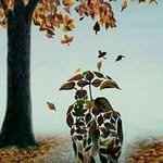 Niles Patel - @niles.patel.581 - Instagram