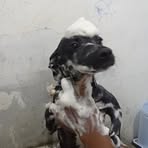 Nilka Rodriguez - Facebook