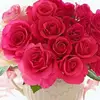 Nilofar memon88888 - @nilofarmemon88888 - TikTok