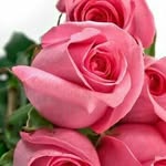 nilofar memon - @nilofarmemon2 - Instagram