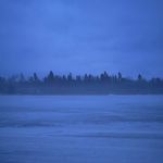 Nils Ericson - @nils_ericson_____ - Instagram