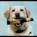 Nils Lund - @beerdoggy - Instagram