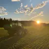 Nilsemann - @nils.pedersen - TikTok