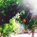 Nils Schröder - @nils.schroder.509 - Instagram