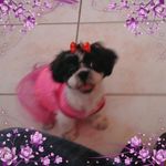 Nilsa Cintron - @nilsa.cintron.75 - Instagram