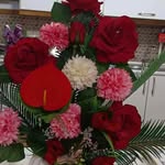 nima.mehran - @ivand123459 - Instagram
