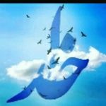 @nimamirali2022 - Instagram