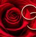 Nima Panahi - Facebook