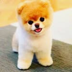 nima pradhan - @nima_pradhan100 - Instagram