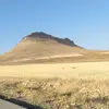 Nima Rad - @nima.rad6 - TikTok