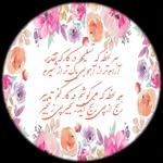 Nima Rad - @nimarad3193 - Instagram
