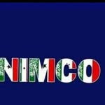 Nimco Ali - @nimco161 - Instagram