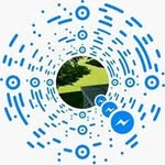 Nimco Ali - @fartun.mohammed.5 - Instagram