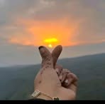Nimco Ali - Facebook