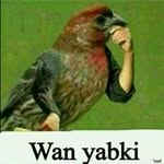 Nimo Adan - @nimo3595 - Instagram