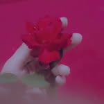 nimra baig - @nimrabaig77 - Instagram