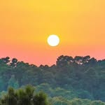 Nimuben Patel - @nimuben.patel.986 - Instagram