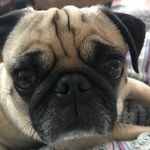 Nina Abbott - @nina.abbott71 - Instagram