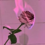 @nina_allison2002 - Instagram