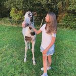 Nina - @nina_arnoldus12 - Instagram