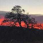 Nina Farley-Bates Lcsw - @farleybateslcsw - Instagram