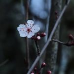 Nina - @_nina__bean - Instagram