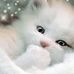 Nina Beebe - Facebook