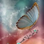 Nina Best - Facebook
