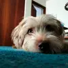 Nina Best - @nina.best20 - TikTok