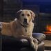 Nina Cavello Blanton - Facebook