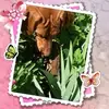 Nina Bott - @ninb84 - TikTok