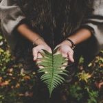 Nina Bratcher, LCSW, RYT - @bayareatherapyservices - Instagram