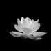 Nina Bui - Facebook