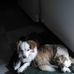 Nina Bui - Facebook