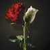 Nina Cagle - Facebook