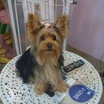 Nina Campos Fernandes - @ninacamposfernandes - Instagram