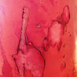 Nina Carmichael - @carmichael2632 - Instagram