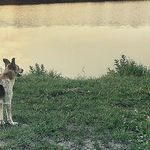 Nina Carpenter - @njcarpenter74 - Instagram
