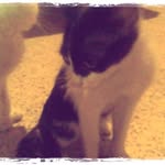 niñachacon - @nina_chacon1 - Instagram