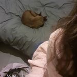 Nina Clapp - @ninavclapp - Instagram