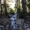 Nina Couch - @user696683961 - TikTok