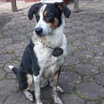 Nina Cramer - @nina.cuddles285 - Instagram