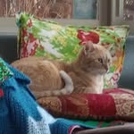 Nina Cramer - @mtgrammie1 - Instagram