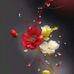 Nina Deaconescu - Facebook