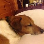 Nina Dean - @ninadean1966 - Instagram