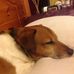 Nina Dean - Facebook