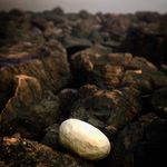 A project by Nina Elder - @geologic_empathy - Instagram
